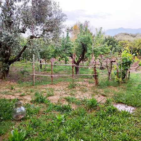 Casetta Dei Sogni Chalet Eboli