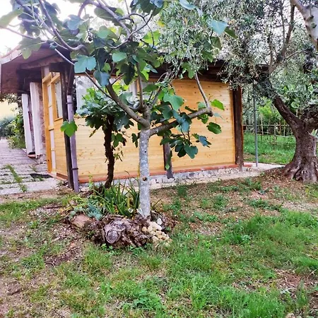 Casetta Dei Sogni Chalet *